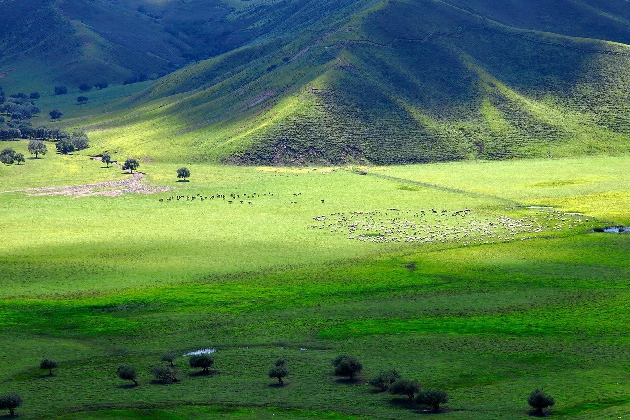 منطقه خودمختار مغولستان داخلی در چین جهت تحصیل و کار - Inner Mongolia Autonomous Region 